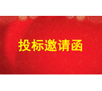 投标邀请函（2025年度pg电子游戏app集团零星工程全过程造价咨询服务）